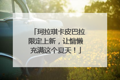 珂拉琪卡皮巴拉限定上新，让慵懒充满这个夏天！