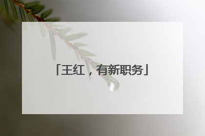 王红，有新职务