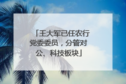 王大军已任农行党委委员，分管对公、科技板块