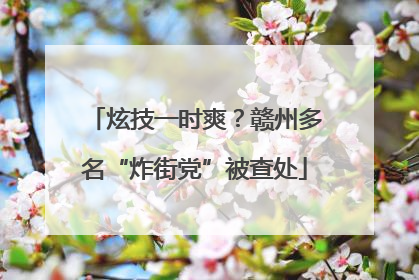 炫技一时爽？赣州多名“炸街党”被查处