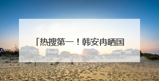 热搜第一！韩安冉晒国外硕士offer，发文回应质疑：别人笑我太疯癫，我笑别人看不穿