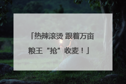 热辣滚烫 跟着万亩粮王“抢”收麦！