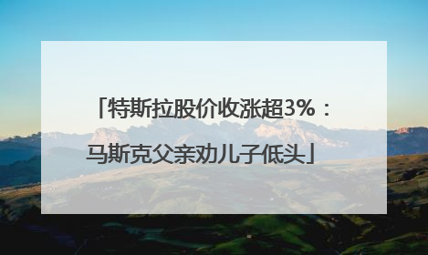 特斯拉股价收涨超3%：马斯克父亲劝儿子低头