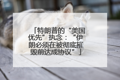 特朗普的“美国优先”执念：“伊朗必须在被彻底摧毁前达成协议”
