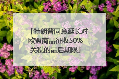 特朗普同意延长对欧盟商品征收50%关税的最后期限