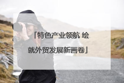 特色产业领航 绘就外贸发展新画卷