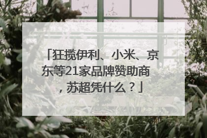 狂揽伊利、小米、京东等21家品牌赞助商，苏超凭什么？