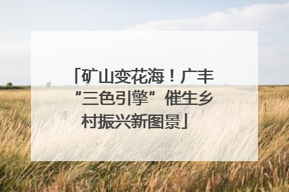 矿山变花海！广丰“三色引擎”催生乡村振兴新图景