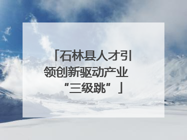 石林县人才引领创新驱动产业“三级跳”
