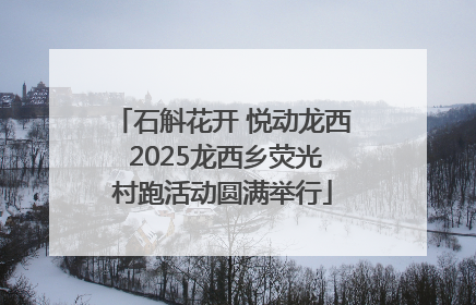 石斛花开 悦动龙西 2025龙西乡荧光村跑活动圆满举行