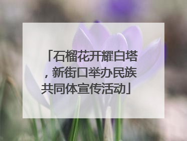 石榴花开耀白塔，新街口举办民族共同体宣传活动