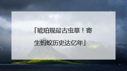 琥珀现最古虫草！寄生蚂蚁历史达亿年