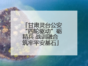 甘肃灵台公安“四轮驱动”砺精兵 战训融合筑牢平安基石