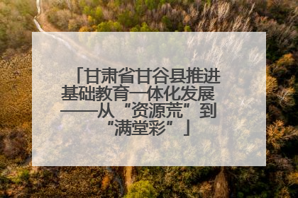 甘肃省甘谷县推进基础教育一体化发展——从“资源荒”到“满堂彩”