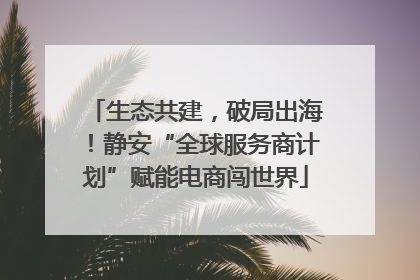 生态共建，破局出海！静安“全球服务商计划”赋能电商闯世界