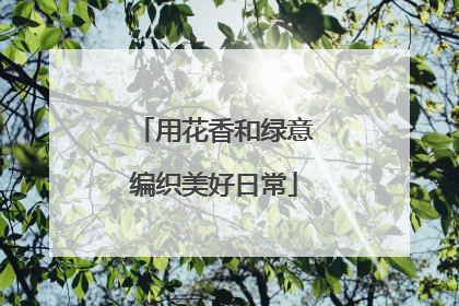 用花香和绿意编织美好日常
