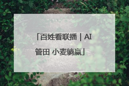 百姓看联播｜AI管田 小麦躺赢