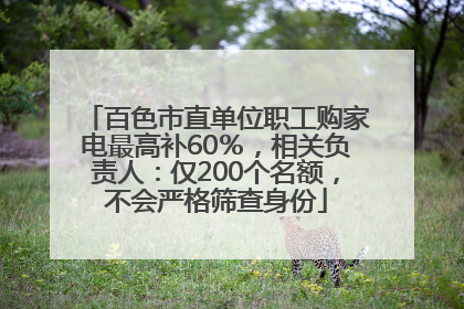 百色市直单位职工购家电最高补60％，相关负责人：仅200个名额，不会严格筛查身份