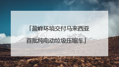 盈峰环境交付马来西亚首批纯电动垃圾压缩车