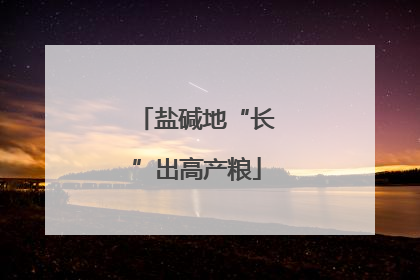 盐碱地“长”出高产粮