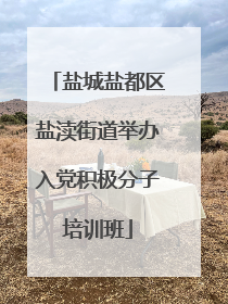 盐城盐都区盐渎街道举办入党积极分子培训班
