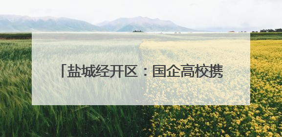 盐城经开区：国企高校携手共绘产教融合新图景