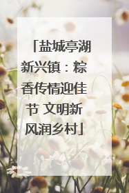 盐城亭湖新兴镇：粽香传情迎佳节 文明新风润乡村
