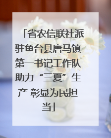 省农信联社派驻鱼台县唐马镇第一书记工作队助力“三夏”生产 彰显为民担当
