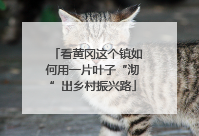 看黄冈这个镇如何用一片叶子“沏”出乡村振兴路