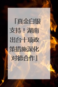 真金白银支持！湖南出台十项政策措施深化对德合作