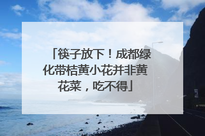 筷子放下！成都绿化带桔黄小花并非黄花菜，吃不得