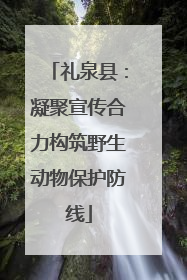 礼泉县：凝聚宣传合力构筑野生动物保护防线