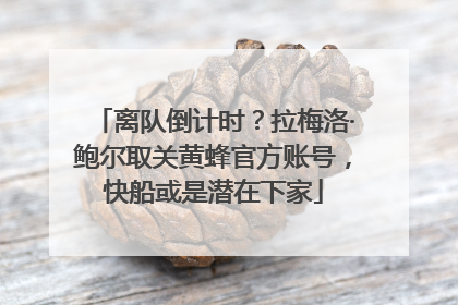 离队倒计时？拉梅洛·鲍尔取关黄蜂官方账号，快船或是潜在下家