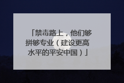 禁毒路上，他们够拼够专业（建设更高水平的平安中国）