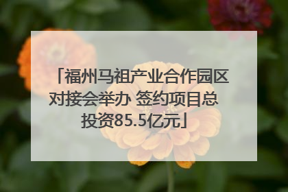 福州马祖产业合作园区对接会举办 签约项目总投资85.5亿元
