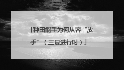 种田能手为何从容“放手”（三夏进行时）