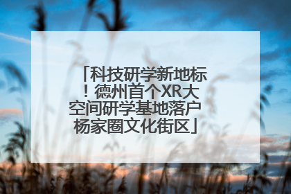 科技研学新地标！德州首个XR大空间研学基地落户杨家圈文化街区