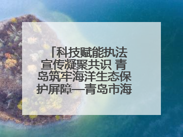 科技赋能执法 宣传凝聚共识 青岛筑牢海洋生态保护屏障—青岛市海洋发展局开展“世界海洋日”和“全国海洋宣传日”宣传活动