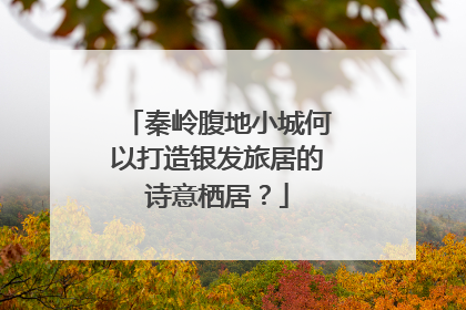 秦岭腹地小城何以打造银发旅居的诗意栖居？