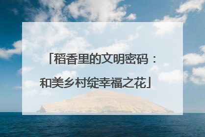 稻香里的文明密码：和美乡村绽幸福之花