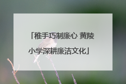稚手巧制廉心 黄陵小学深耕廉洁文化