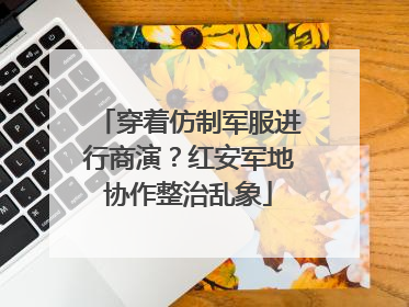 穿着仿制军服进行商演？红安军地协作整治乱象