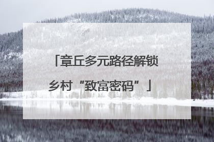 章丘多元路径解锁乡村“致富密码”