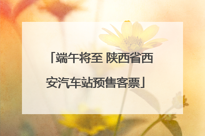 端午将至 陕西省西安汽车站预售客票