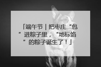 端午节｜把枣庄“包”进粽子里，“地标馅”的粽子诞生了！