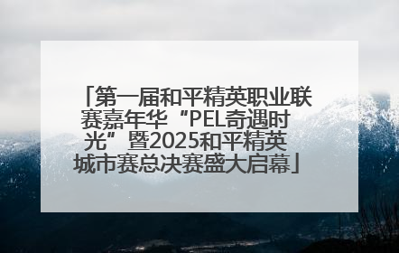第一届和平精英职业联赛嘉年华“PEL奇遇时光”暨2025和平精英城市赛总决赛盛大启幕