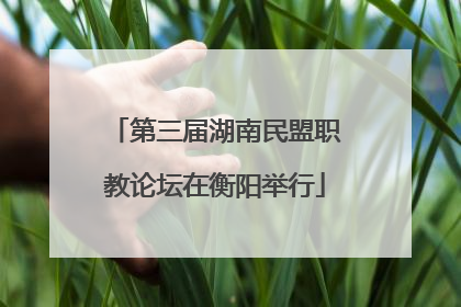 第三届湖南民盟职教论坛在衡阳举行