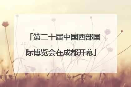 第二十届中国西部国际博览会在成都开幕