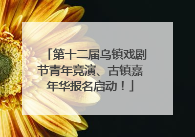 第十二届乌镇戏剧节青年竞演、古镇嘉年华报名启动！