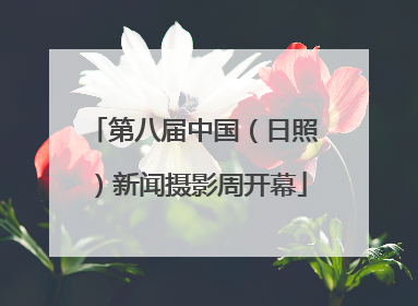 第八届中国（日照）新闻摄影周开幕